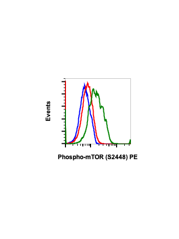 Phospho-mTOR (Ser2448) (E11) rabbit mAb PE Conjugate