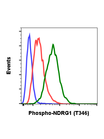 Phospho-NDRG1 (Thr346) (F5) rabbit mAb