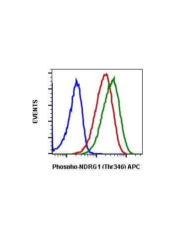 Phospho-NDRG1 (Thr346) (F5) rabbit mAb APC conjugate