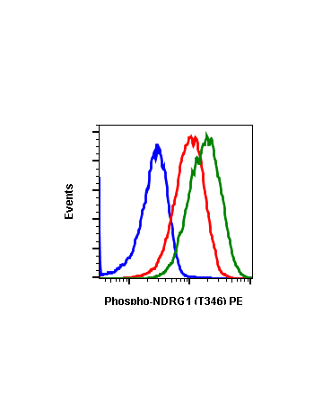 Phospho-NDRG1 (Thr346) (F5) rabbit mAb PE conjugate