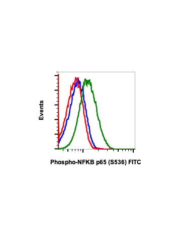Flow cytometric analysis of HeLa cells unstained and untreated as negative control (blue) or untreated (red) or treated with TNFa plus CalA (green) and stained using phospho-NFKB p65 (Ser536) FITC conjugate antibody, NFKBP65S536-B7 Cat. #2393.