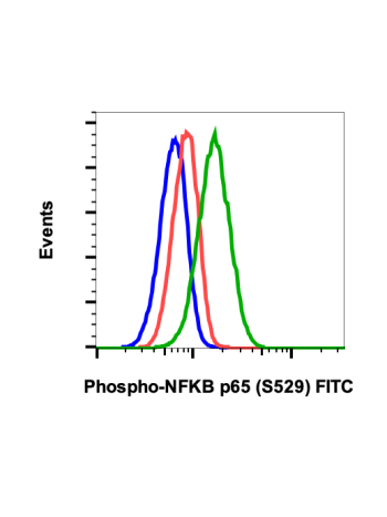 Phospho-NFkB p65 (Ser529) (H3) rabbit mAb FITC conjugate