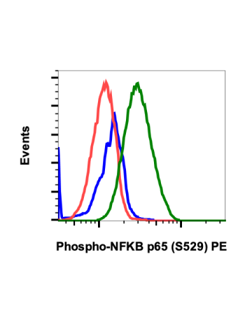 Phospho-NFkB p65 (Ser529) (H3) rabbit mAb PE conjugate