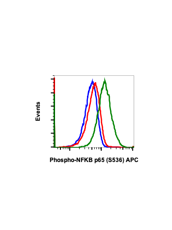 Phospho-NFKB p65 (Ser536) (B7) rabbit mAb APC Conjugate