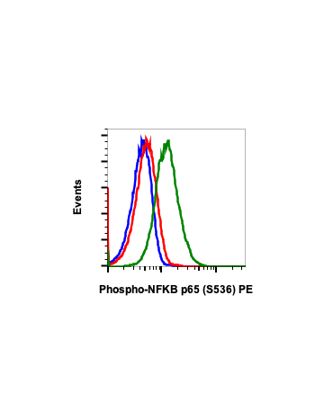 Flow cytometric analysis of HeLa cells untreated and unstained as negative control (blue), untreated (red) or treated with TNFa plus CalA (green) and stained using phospho-NFKB p65 (Ser536) antibody NFKBP65S536-B7 PE Cat. #2392.