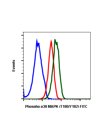 Phospho-p38 MAPK (Thr180/Tyr182) (E3) rabbit mAb FITC conjugate