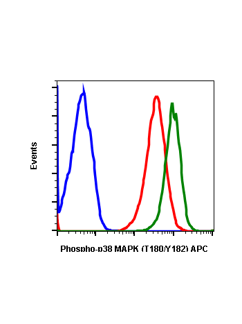 Phospho-p38 MAPK (Thr180/Tyr182) (E3) rabbit mAb APC conjugate