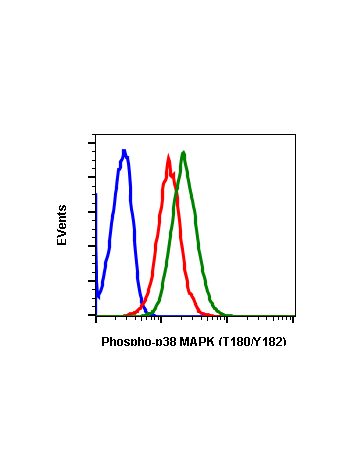 Phospho-p38 MAPK (Thr180/Tyr182) (E3) rabbit mAb SureLight488 Conjugate