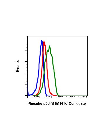 Phospho-p53 (Ser15) (1C11) rabbit mAb FITC conjugate