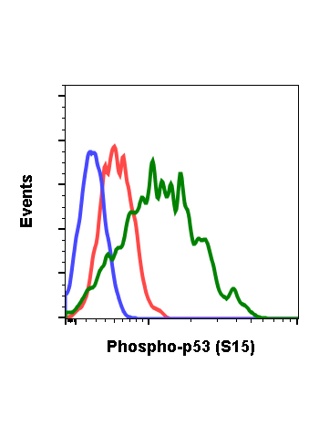 Phospho-p53 (Ser15) (1C11) rabbit mAb