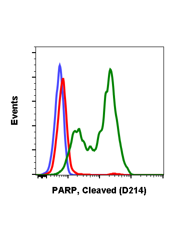 Cleaved PARP (Asp214) (H8) rabbit mAb