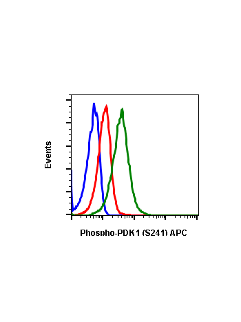 Phospho-PDK1 (Ser241) (F7) rabbit mAb APC conjugate