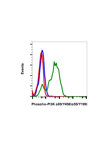 Phospho-PI3 Kinase p85 (Tyr458)/p55 (Tyr199) (1A11) rabbit mAb PE conjugate