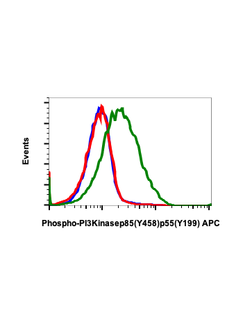 Flow cytometric analysis of Ramos cells unstained untreated cells as negative control (blue) or stained untreated (red) or treated with pervanadate (green) using Phospho-PI3 Kinase p85 (Tyr458)/p55 (Tyr199) antibody PI3KY458-1A11 SureLight488 conjugate at