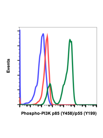 Flow cytometric analysis of Ramos cells secondary antibody only negative control (blue) or untreated (red) or treated with pervanadate (green) using Phospho-PI3 Kinase p85 (Tyr458)/p55 (Tyr199) antibody PI3KY458-1A11. Cat.#2066.