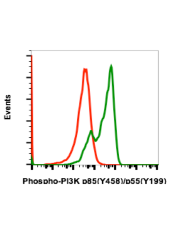 Phospho-PI3 Kinase p85 (Tyr458)/p55 (Tyr199) (1A11) rabbit mAb FITC conjugate