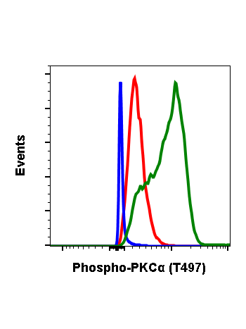 Phospho-PKCa (Thr497) (F1) rabbit mAb