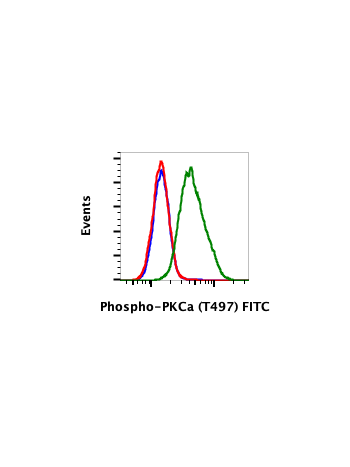 Phospho-PKCa (Thr497) (F1) rabbit mAb FITC Conjugate