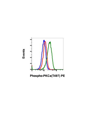 Phospho-PKCa (Thr497) (F1) rabbit mAb PE Conjugate