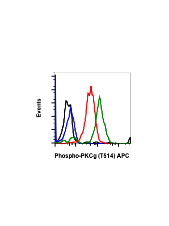 Phospho-PKC (pan) (gamma Thr514) (PF4) rabbit mAb APC conjugate
