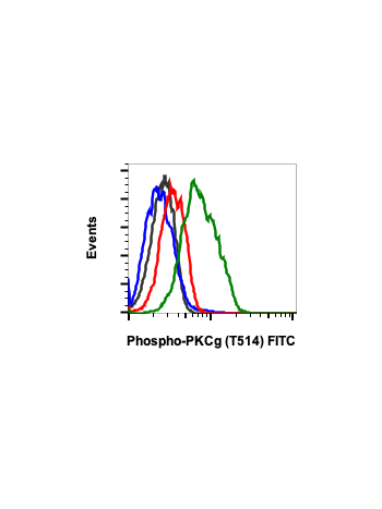 Phospho-PKC (pan) (gamma Thr514) (PF4) rabbit mAb FITC conjugate