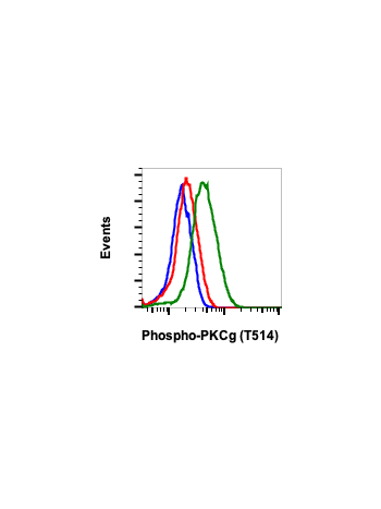 Phospho-PKC (pan) (gamma Thr514) (PF4) rabbit mAb