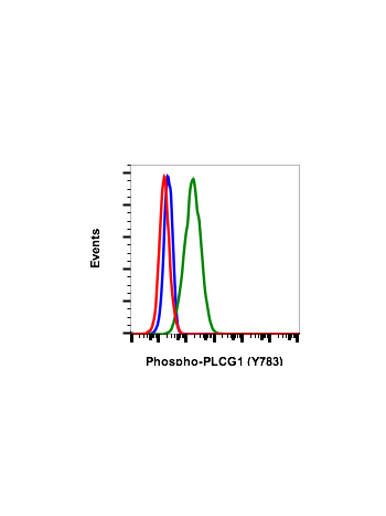 Phospho-PLCγ1 (Tyr783) (C4) rabbit mAb PE conjugate