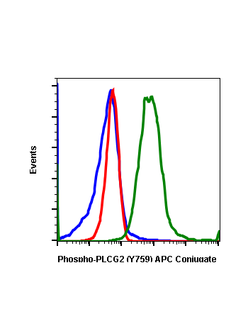 Phospho-PLCγ2 (Tyr759) (G3) rabbit mAb APC conjugate