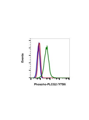 Phospho-PLCγ2 (Tyr759) (G3) rabbit mAb FITC conjugate