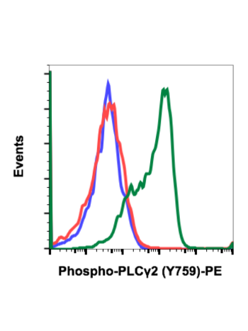 Phospho-PLCγ2 (Tyr759) (G3) rabbit mAb PE conjugate