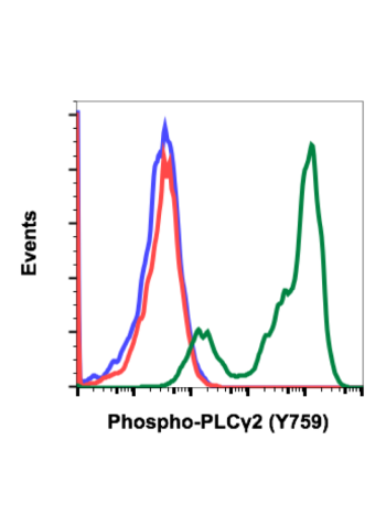 Phospho-PLCγ2 (Tyr759) (G3) rabbit mAb