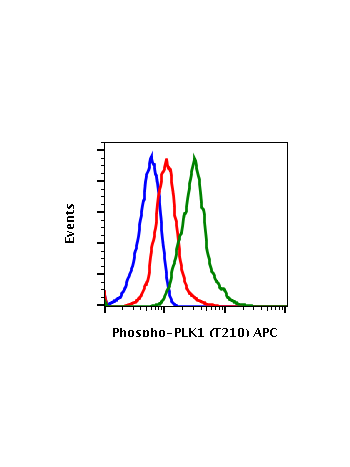 Phospho-PLK1 (Thr210) (C2) rabbit mAb APC conjugate