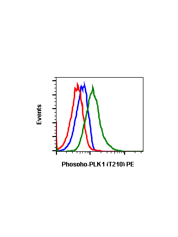 Flow cytometric analysis of HeLa cells, untreated and unstained as negative control (blue) or untreated and stained (red) or treated with nocodazole and stained (green) using Phospho-PLK1 (Thr210) antibody PLK1T210-C2 PE conjugate,  Cat. #2347.