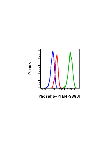 Phospho-PTEN (Ser380) (NA9) rabbit mAb