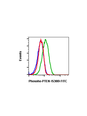 Phospho-PTEN (Ser380) (NA9) rabbit mAb FITC conjugate