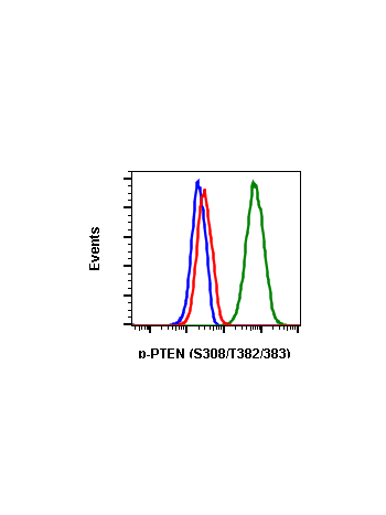 Phospho-PTEN (Ser380/Thr382/383) (E4) rabbit mAb