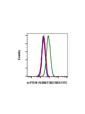 Phospho-PTEN (Ser380/Thr382/383) (E4) rabbit mAb FITC conjugate