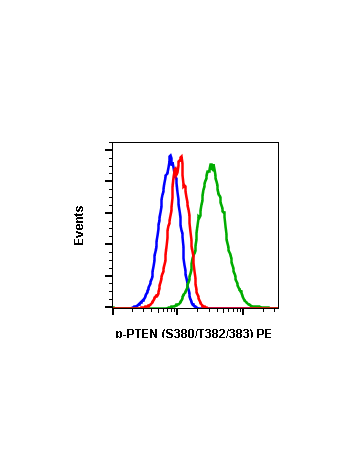 Phospho-PTEN (Ser380/Thr382/383) (E4) rabbit mAb PE conjugate