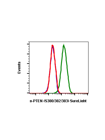 Phospho-PTEN (Ser380/Thr382/383) (E4) rabbit mAb SureLight488 conjugate