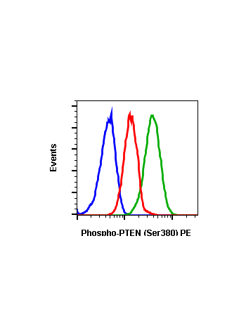 Phospho-PTEN (Ser380) (NA9) rabbit mAb PE conjugate