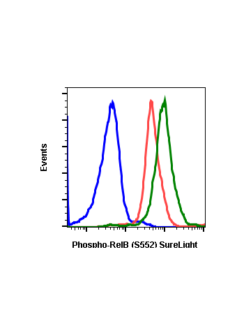 Phospho-RelB (Ser552) rabbit mAb SureLight®488 conjugate