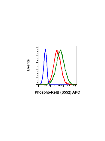 Phospho-RelB (Ser552) (A7) rabbit mAb APC conjugate