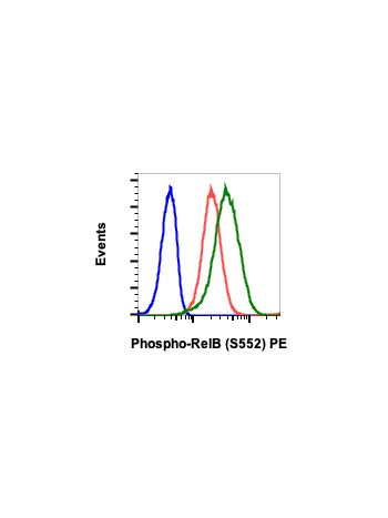 Phospho-RelB (Ser552) (A7) rabbit mAb PE conjugate