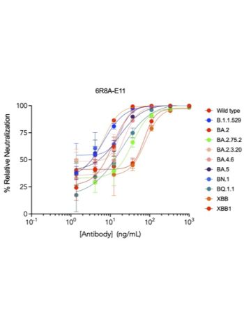 The microtiter wells were coated with recombinant ACE2-Fc protein at 2 µg/mL. The spike trimer protein (96 ng/mL) was mixed with serially diluted antibody 1:1 at RT for 1 hour and added to the wells. Bound spike trimer was detected with horseradish peroxi