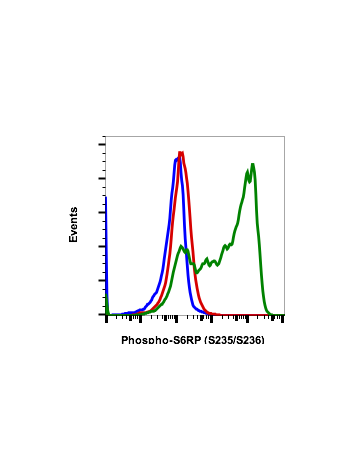 Flow cytometric analysis of U937 cells secondary antibody only negative control (blue) or treated with U0126 plus SB20350 (red) or treated with TPA plus calyculin A (green) using Phospho-S6 ribosomal protein (Ser235/Ser236) antibody S6S235S236-R3A2. Cat. 