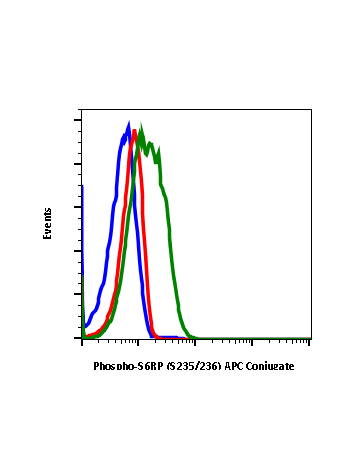 Phospho-S6 Ribosomal Protein (Ser235/236) (R3A2) rabbit mAb APC conjugate