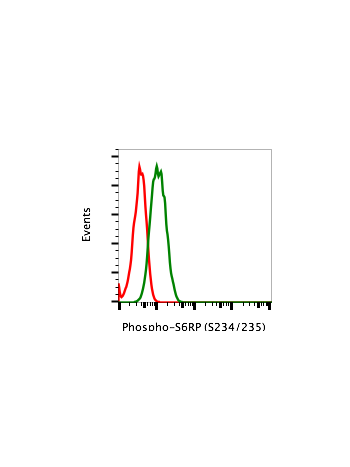 Phospho-S6 Ribosomal Protein (Ser235/236) (R3A2) rabbit mAb PE conjugate