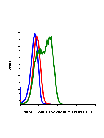Phospho-S6 Ribosomal Protein (Ser235/236) (R3A2) rabbit mAb SureLight®488 conjugate