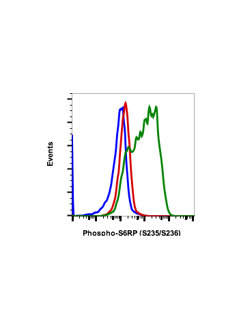 Phospho-S6 Ribosomal Protein (Ser235/236) (R3A2) rabbit mAb FITC conjugate