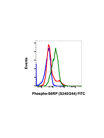 Phospho-S6-Ribosomal Protein (Ser240/244) (CD10) rabbit mAb FITC Conjugate